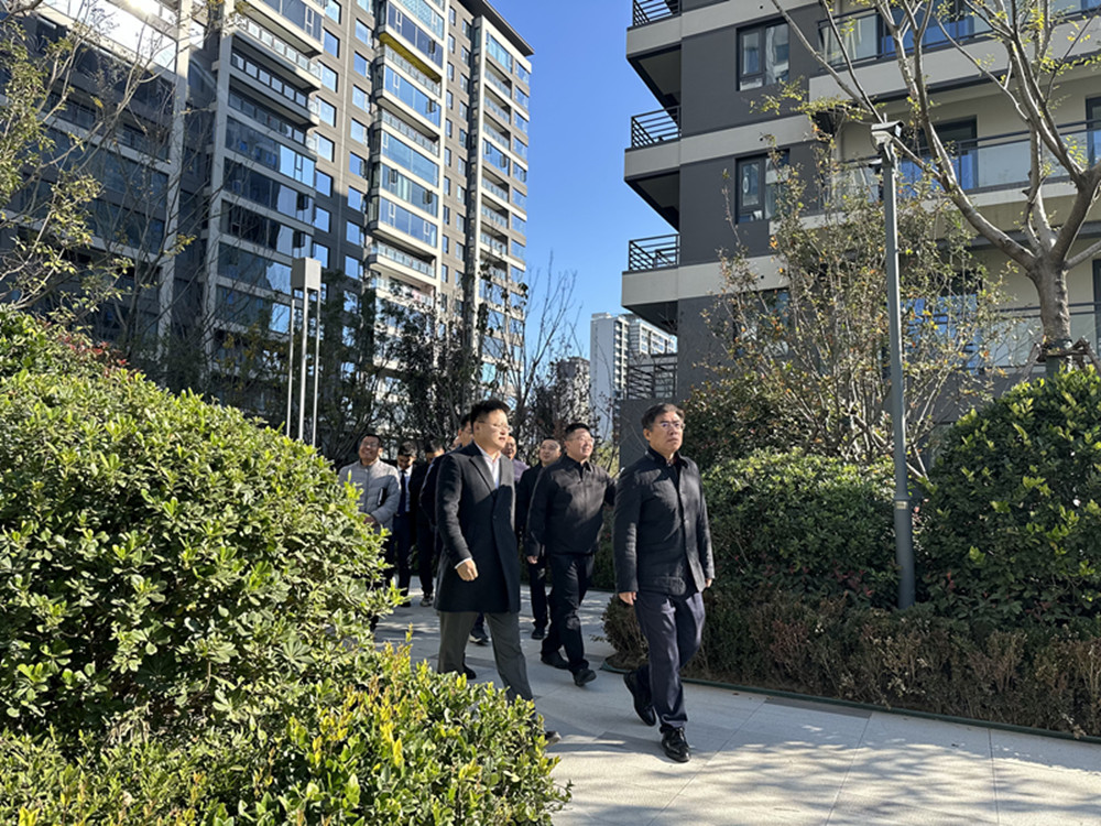 微信图片_20251120164812_41_585_副本.jpg